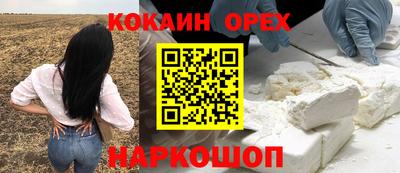 бошки Заводоуковск