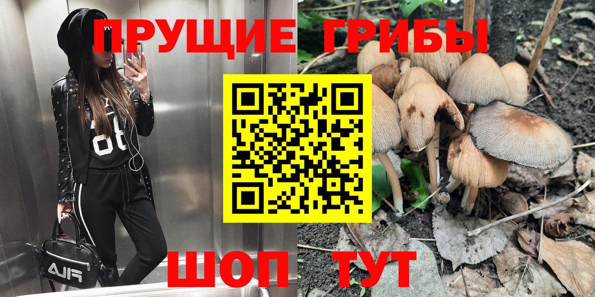 где можно купить наркотик  Галлюциногенные грибы Psilocybine cubensis  Аксай  Вход с VPN  Галлюциногенные грибы Psilocybe 